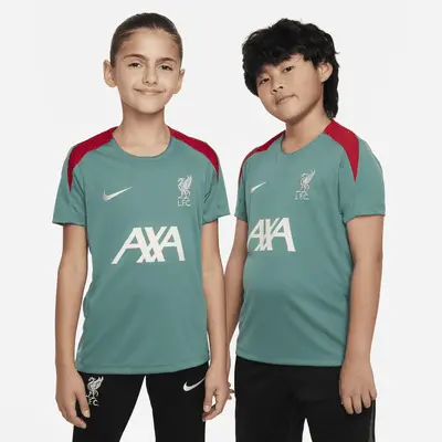 

Топ Nike Liverpool FC Strike, цвет Bicoastal/Bicoastal/Gym Red/Light Orewood Brown