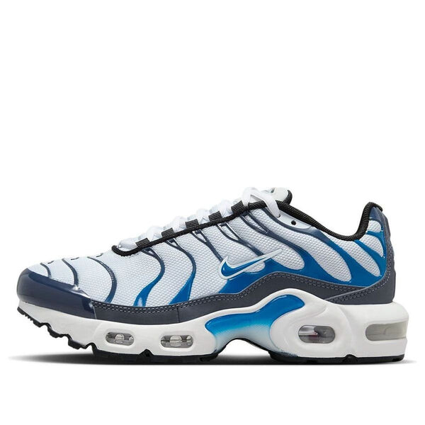 

Кроссовки air max plus Nike, синий