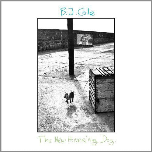

Виниловая пластинка Bj Cole: New Hovering Dog