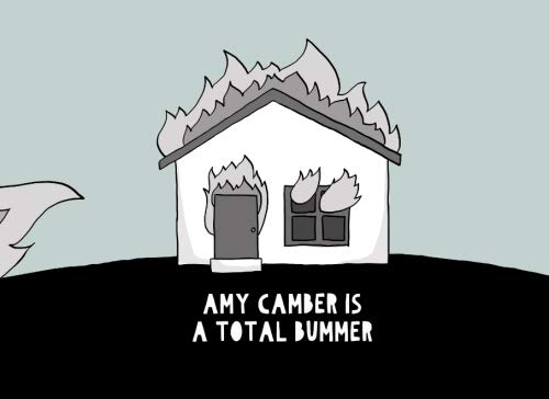 

Amy Camber is a Total Bummer (CreateSpace Independent Publishing Platform)