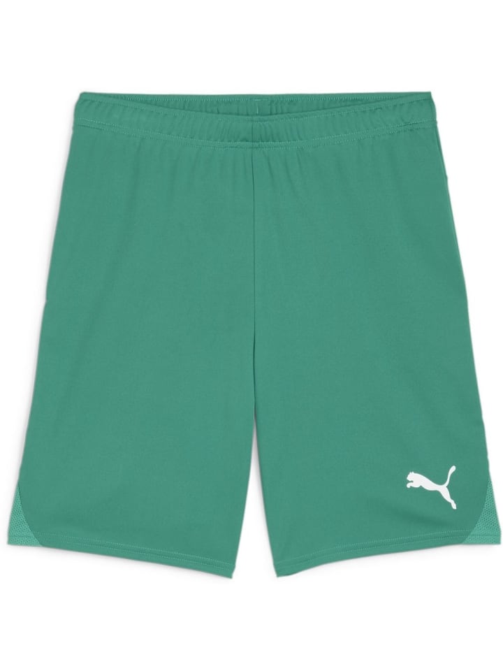 

Puma Спортивные шорты "TeamGoal Shorts" зеленого цвета