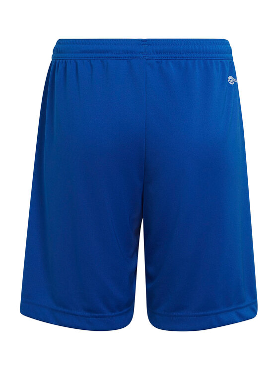 Спортивные шорты regular fit Entrada 22 HG6291 Adidas, синий — фото 2