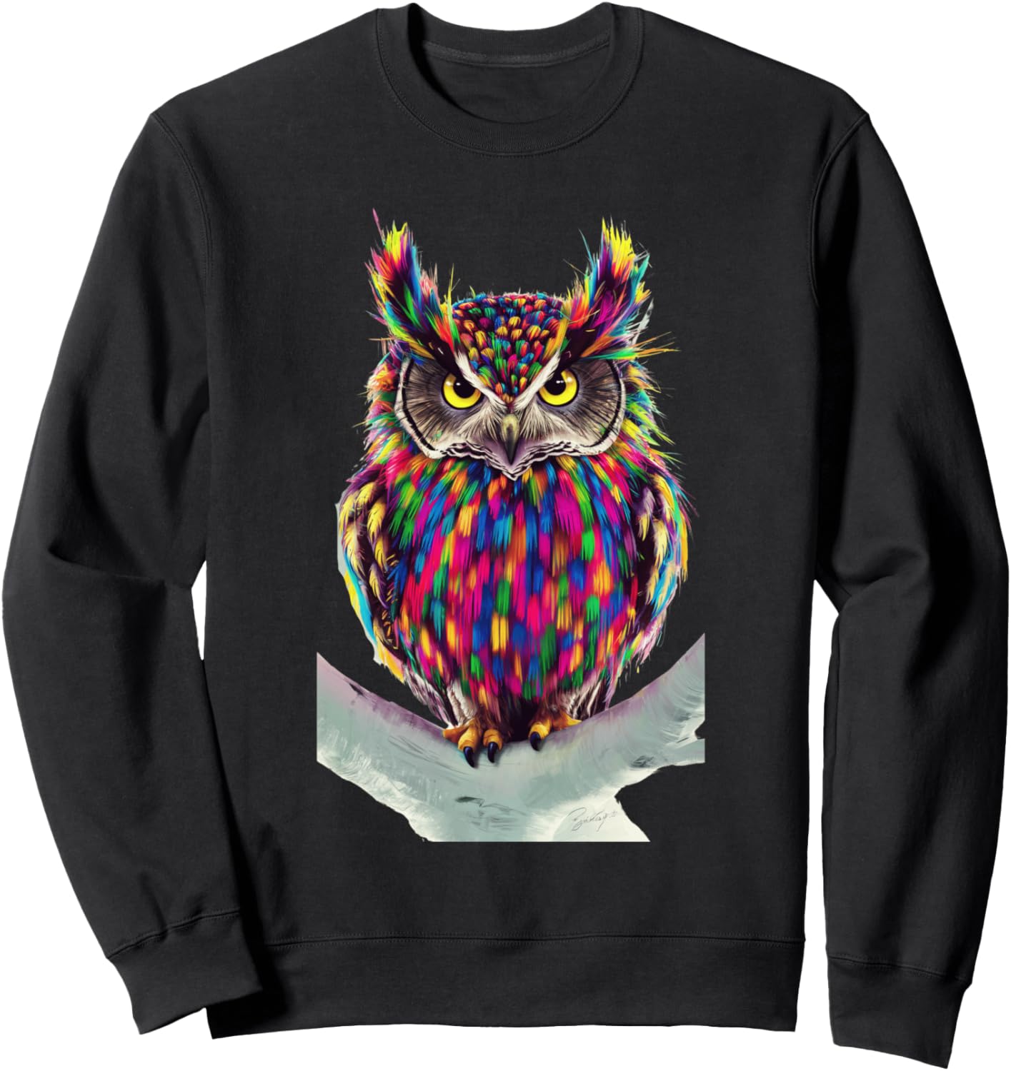 

Толстовка с разноцветной совой и птицей Owlbirdpassion