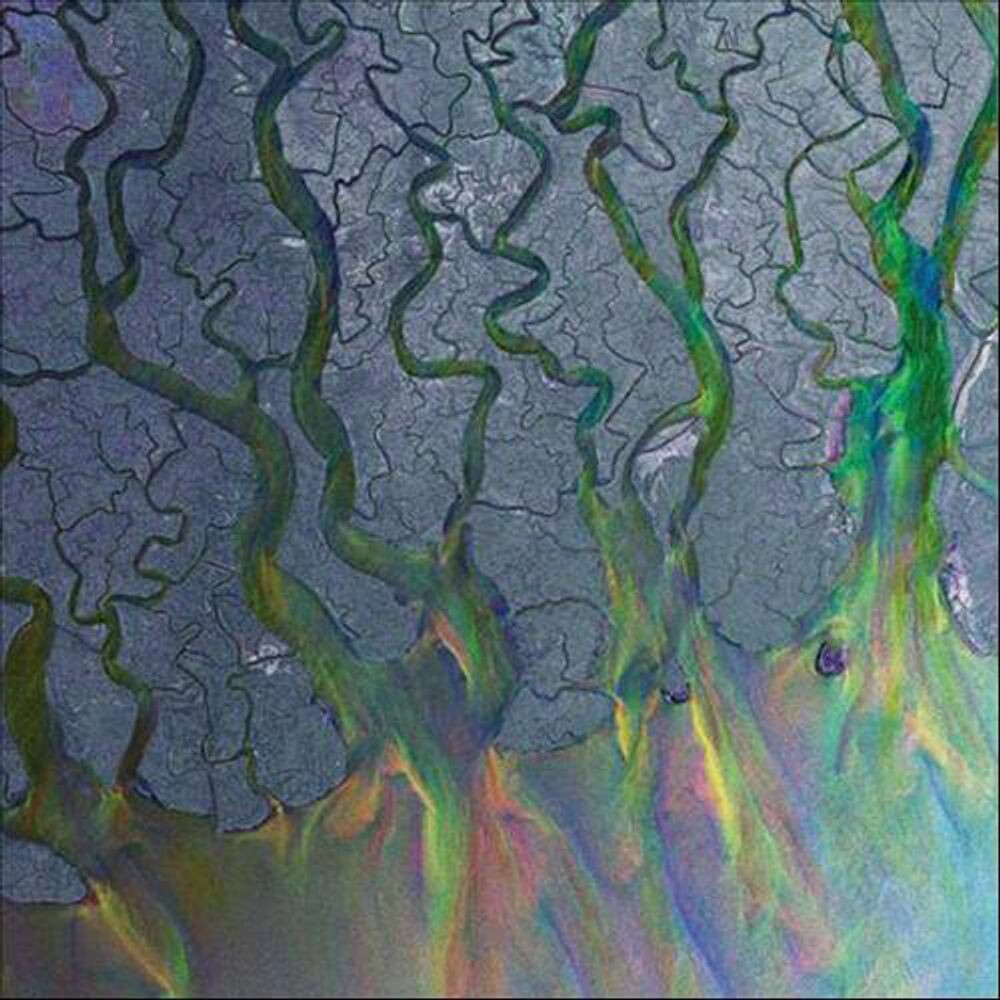 

Виниловая пластинка LP An Awesome Wave - Alt-J