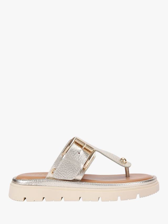 Босоножки-муле T-bar из металлизированной кожи Pavilion Carvela, Gold