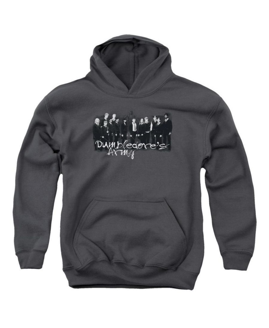 

Толстовка с капюшоном The Order Of Phoenix Youth Da Squad Harry Potter, Charcoal