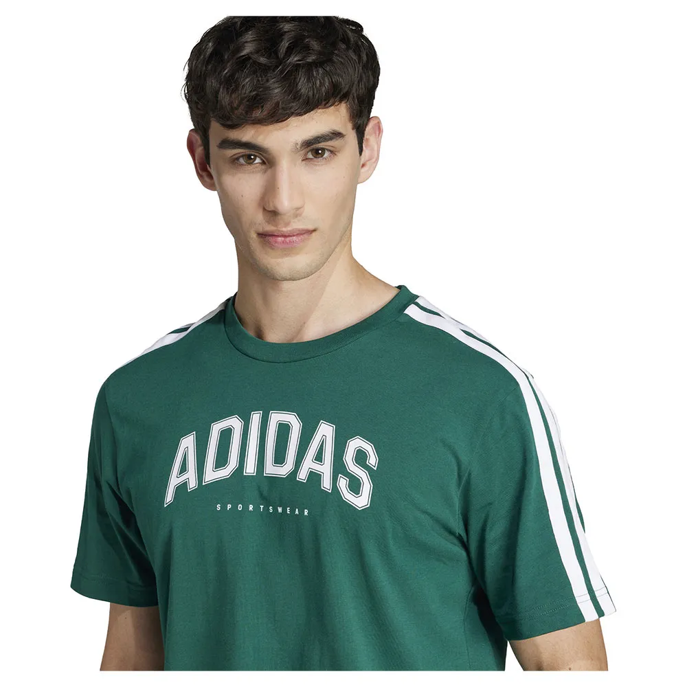 Футболка с коротким рукавом adidas Codes Collegiate Linear Graphic, зеленый — фото 4
