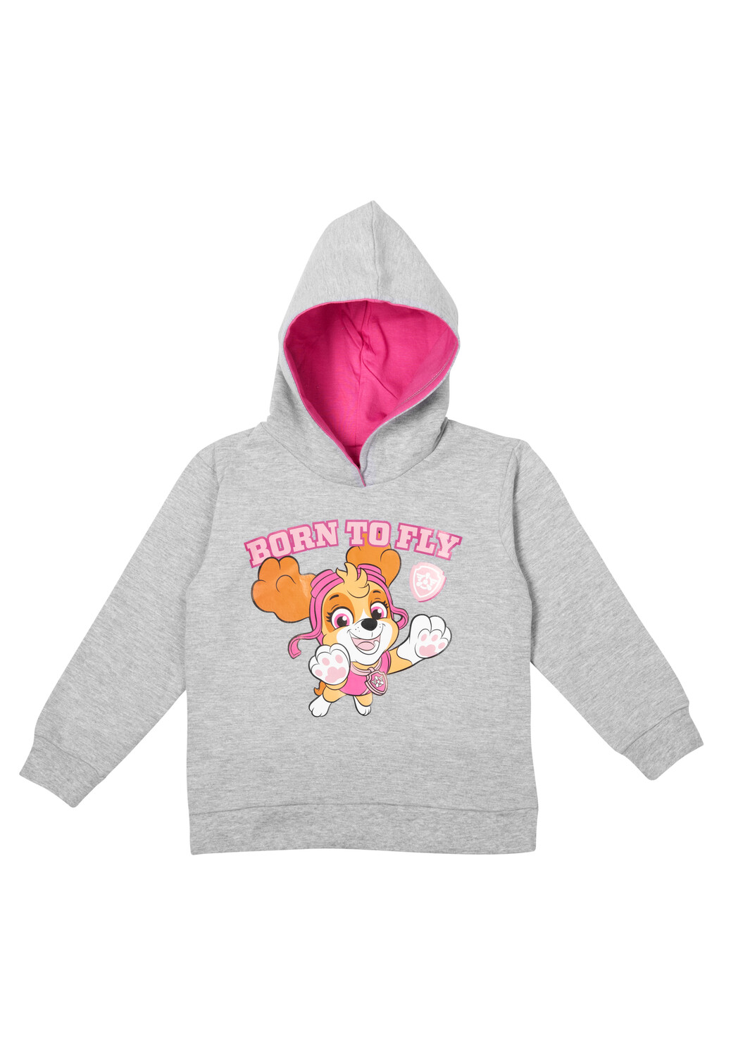 

Толстовка United Labels Paw Patrol Hoodie Kapuzenpullover, серый