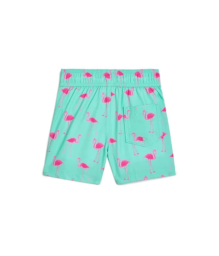 Плавки Core Poly Swim Trunks abercrombie kids, Beach Glass — фото 2