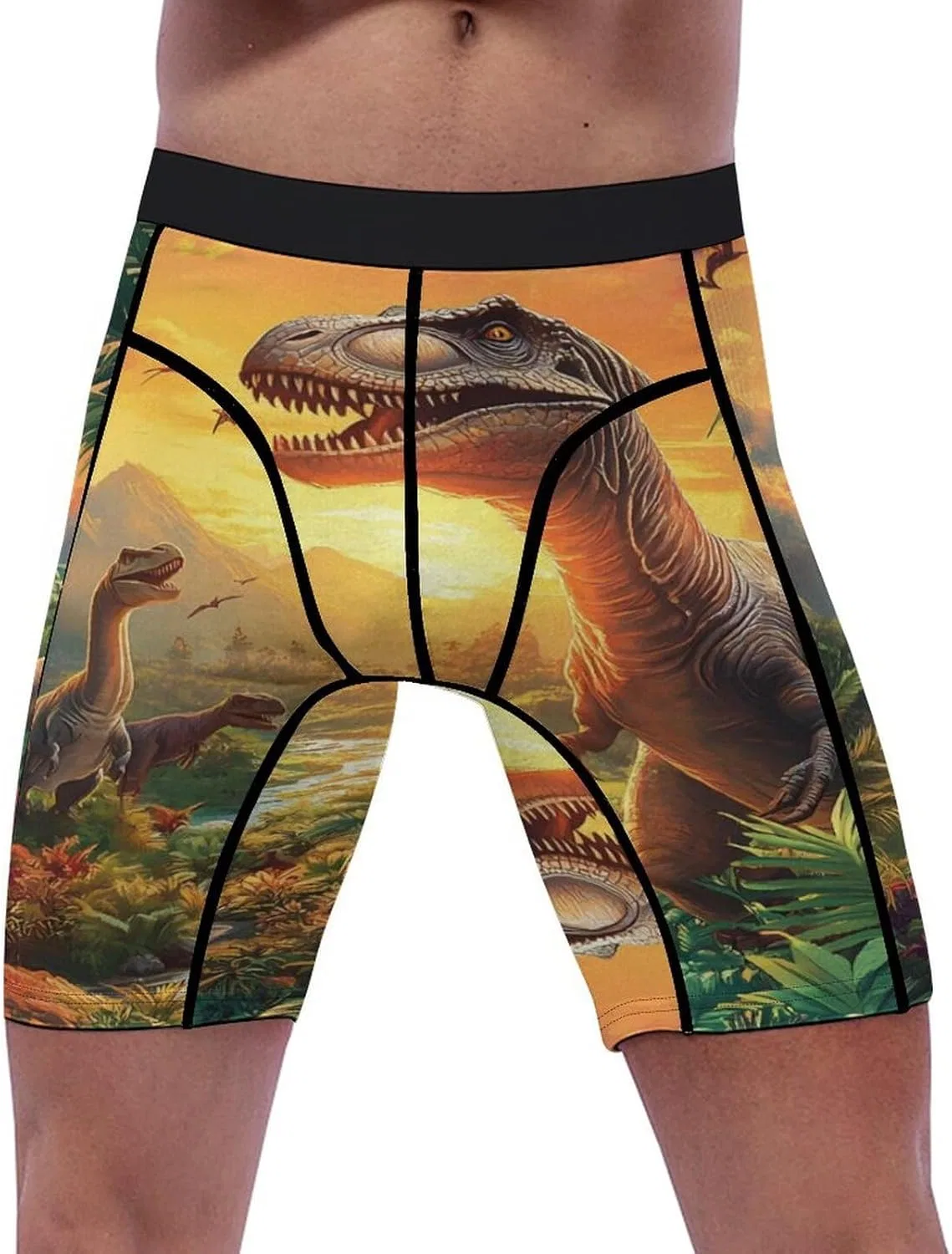 Боксеры спортивные, Dinosaurs, Style