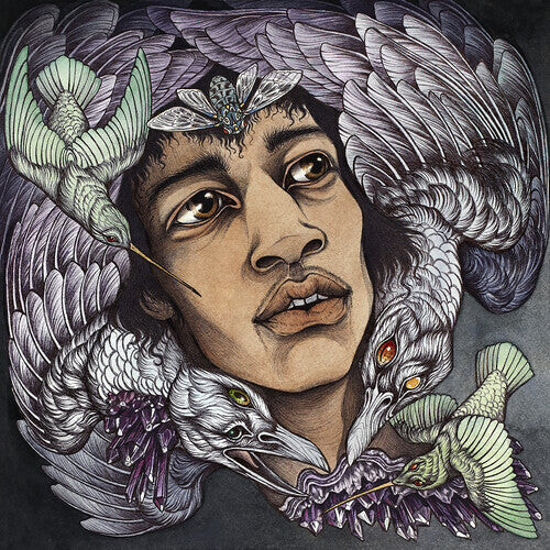 

Виниловая пластинка Best of James Marshall Hendrix (Redux) / Various: Best of James Marshall Hendrix (Redux) (Various Artists) (Light Green Vinyl)