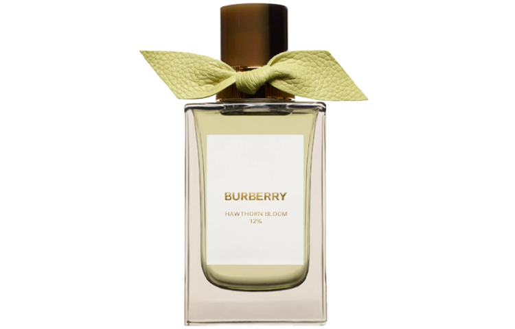 Высококачественные парфюмерные ароматы унисекс Burberry — фото 3