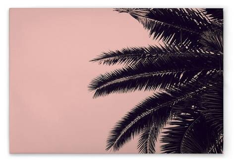 

Картина на холсте A.S. Création Palm Tree цвет rosaschwarz