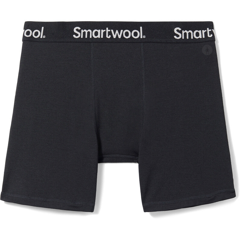 

Мужские трусы-боксеры Active Boxer Smartwool, черный