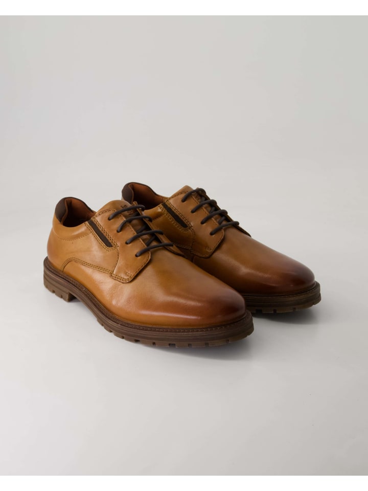 

SALAMANDER Коричневый костюм и деловые туфли