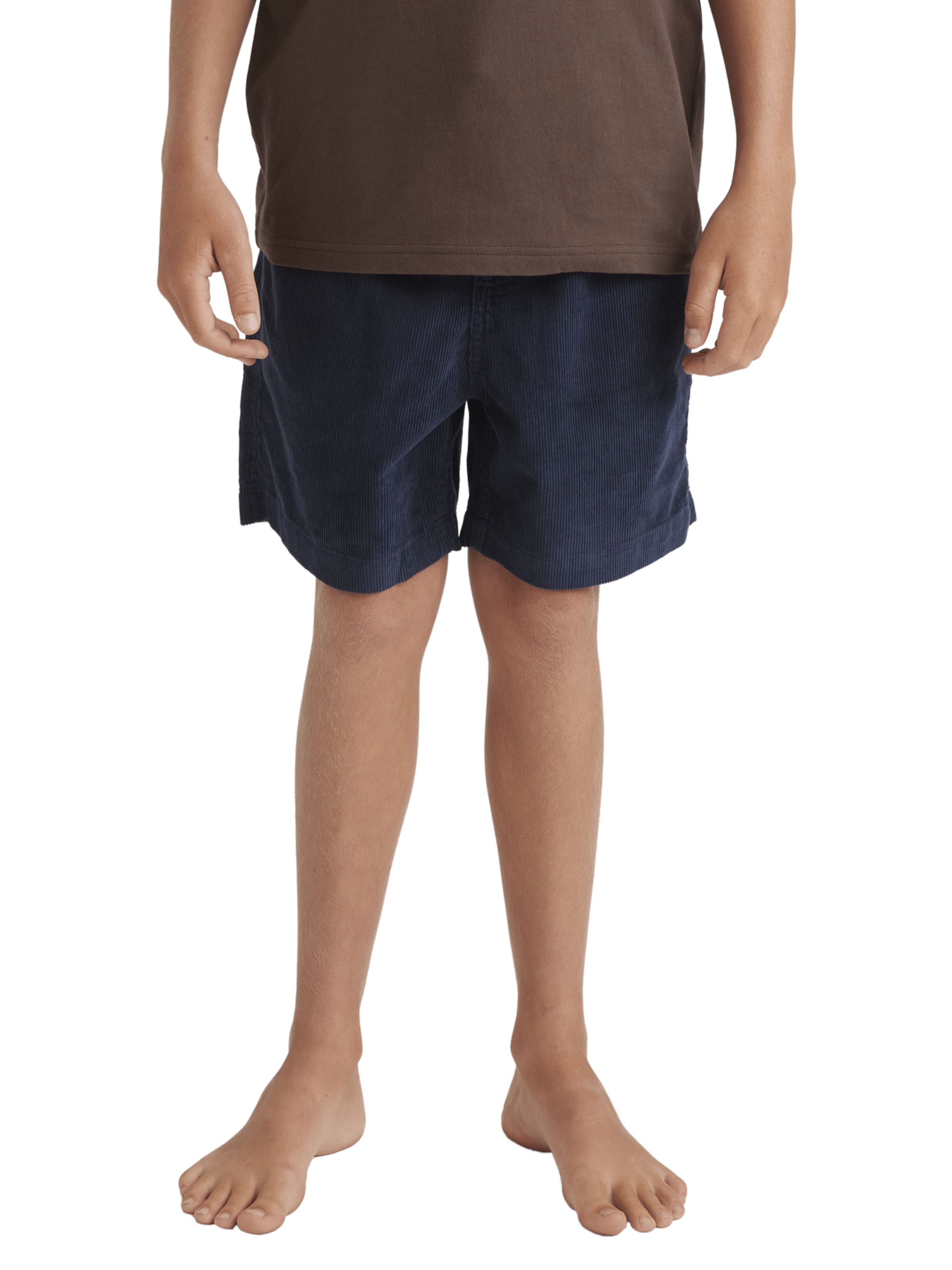 QUIKSILVER Обычные шорты 'Taxer' в цвете Marine Blue