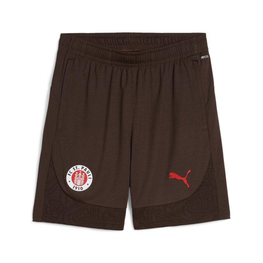 

Спортивные брюки PUMA Regular Workout Pants FC St. Pauli, коричневый