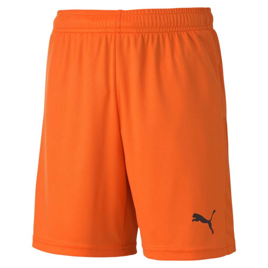 

Детские шорты Puma teamGOAL 23 трикотажные шорты jr 704263