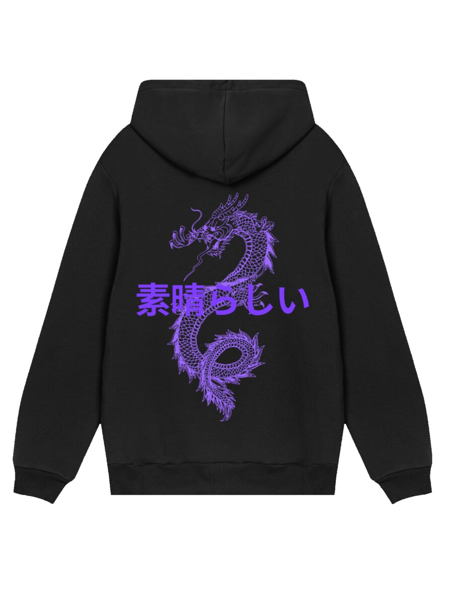 

Толстовка F4NT4STIC Drache Japan, черный
