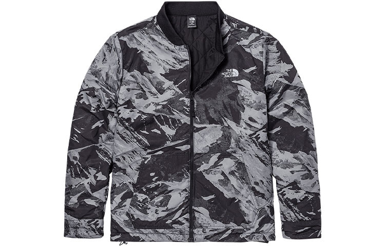 

THE NORTH FACE Мужская зимняя одежда, цвет Black