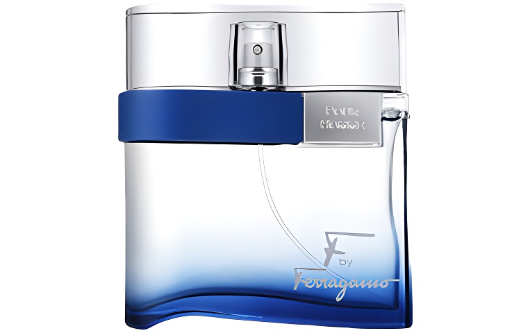 

Мужской парфюм woody aromatic eau de toilette 30ml/50ml/100ml Ferragamo