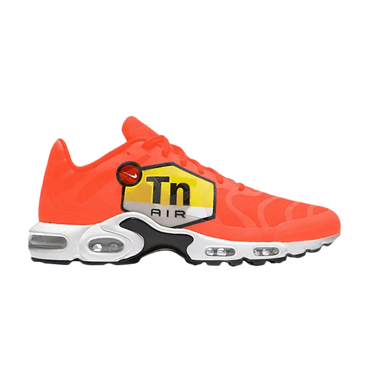 

Кроссовки Nike Air Max Plus Big Logo, оранжевый