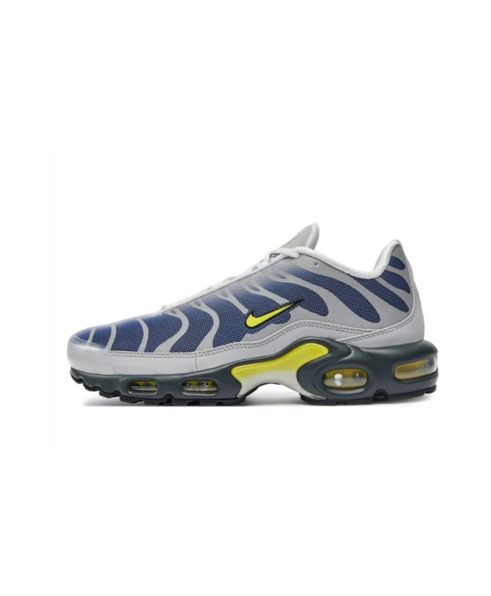 Выразительные кроссовки Air Max Plus Nike, мультиколор — фото 2