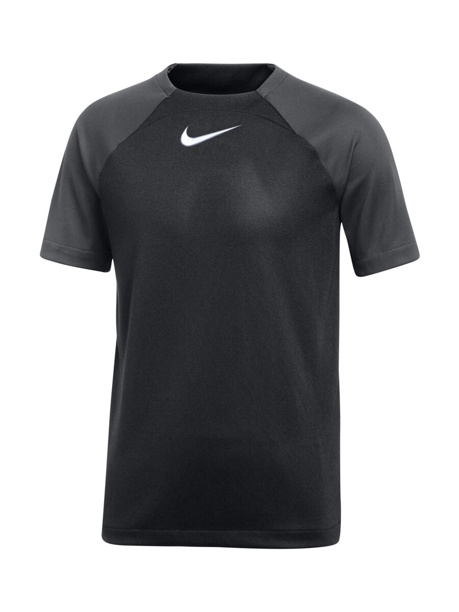 

Футболка Performance NIKE Academy, черный