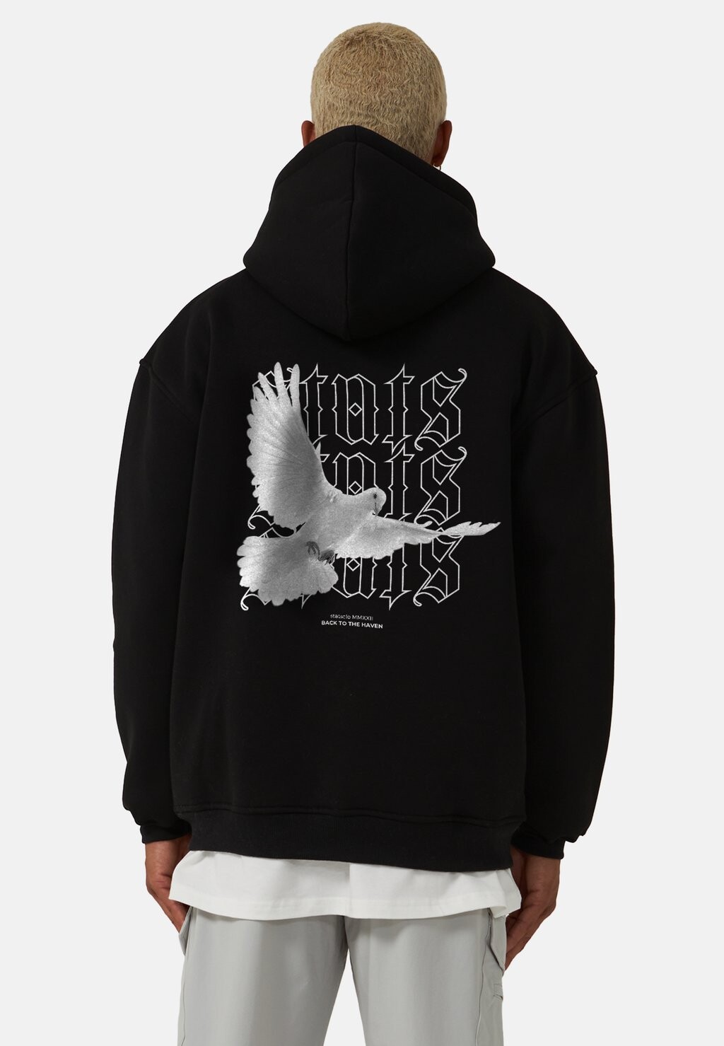 

Толстовка PIGEON Stats, цвет black