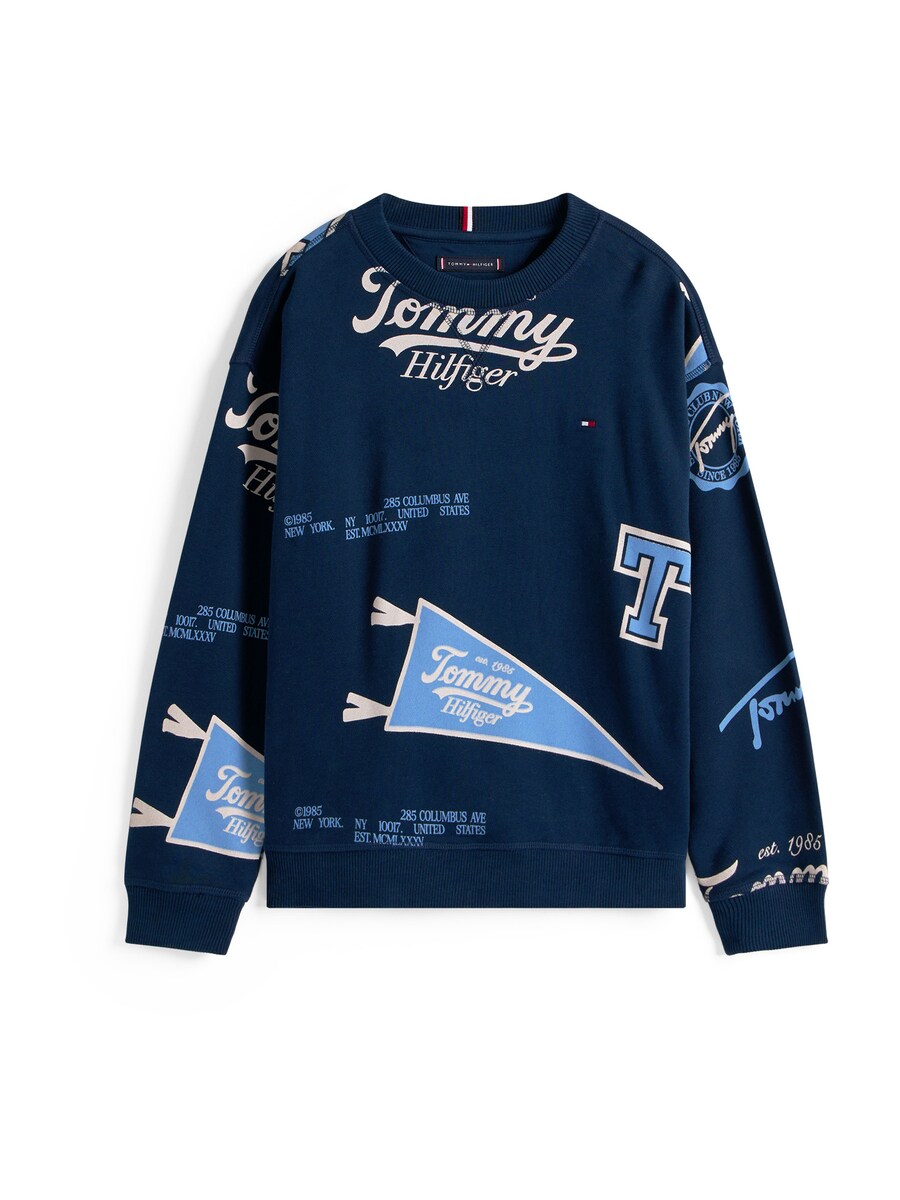 

Толстовка TOMMY HILFIGER, цвет Blue/marine blue/Azure