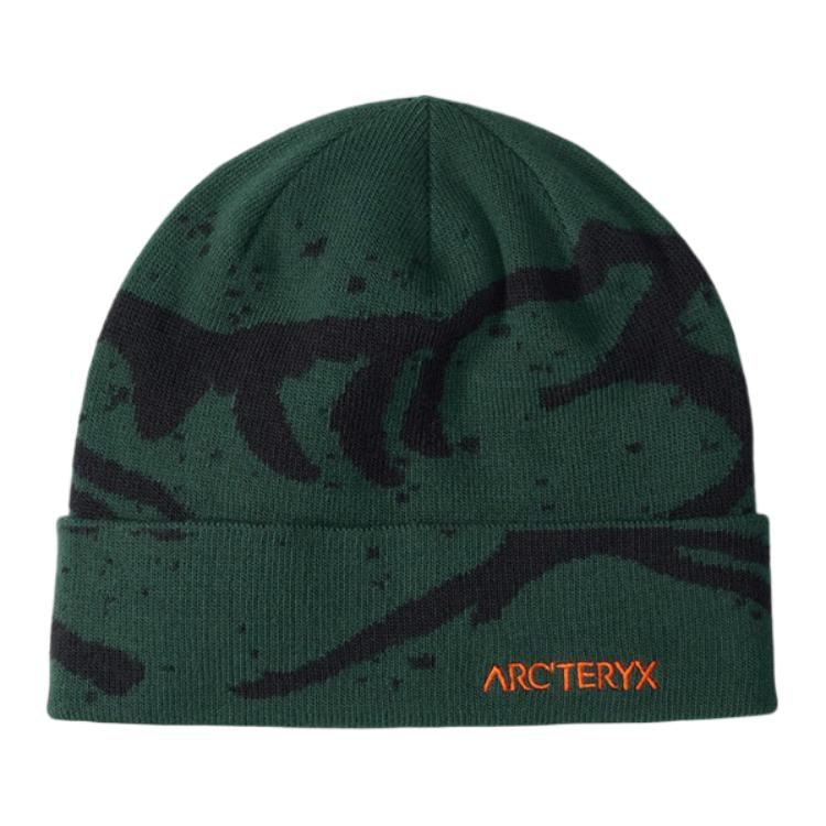 

Arcteryx Зеленая унисекс шапка из полиэстера, Green