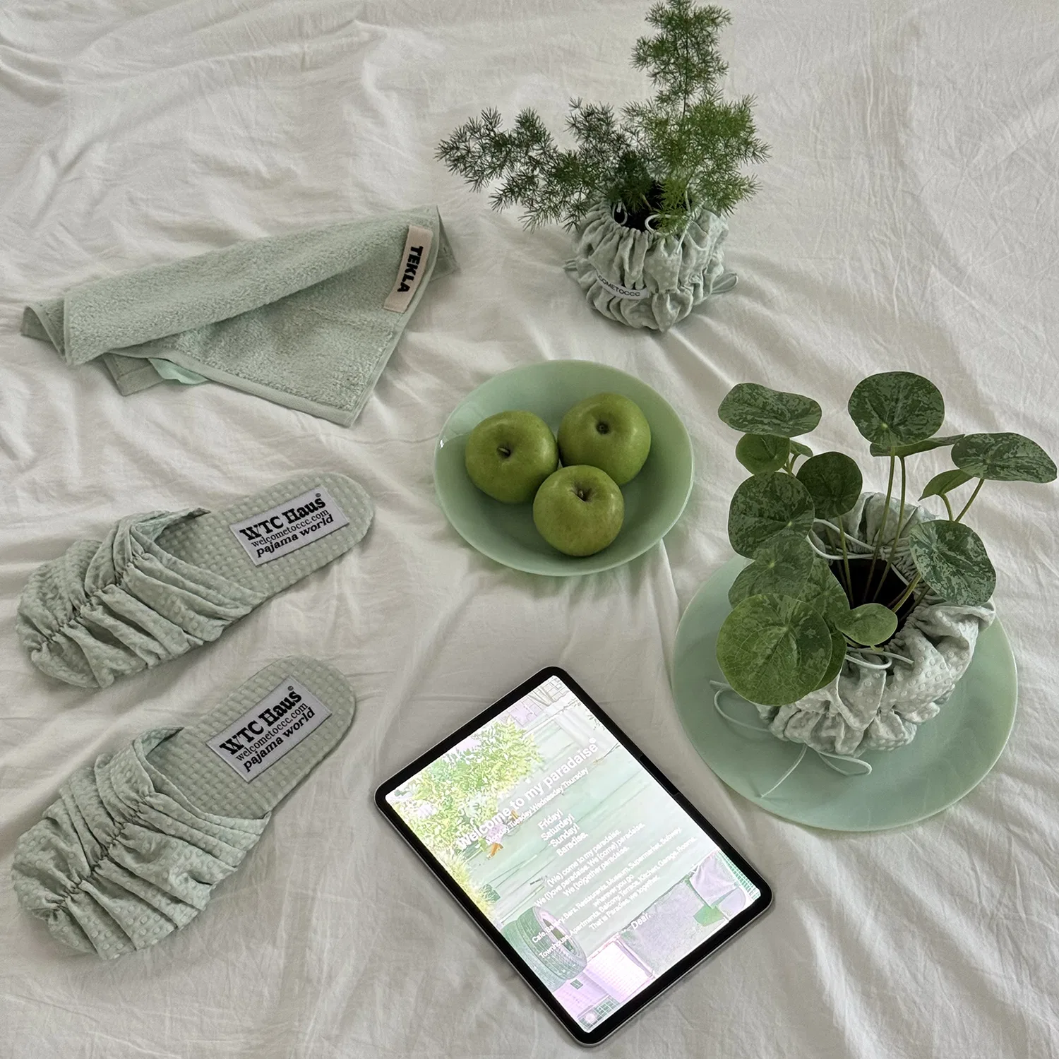 Мужские домашние тапочки Croa Shoes Dotty Mint от Welcometoccc — фото 2