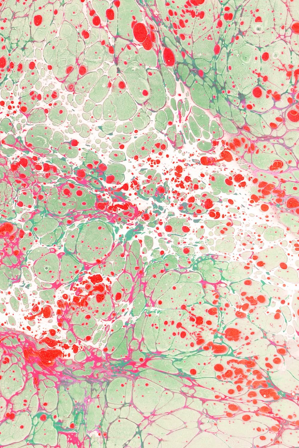 

Quaderno a righe grandi / 80 pagine / formato A5 / cm 15x22 (Italian Edition) (Independently published)