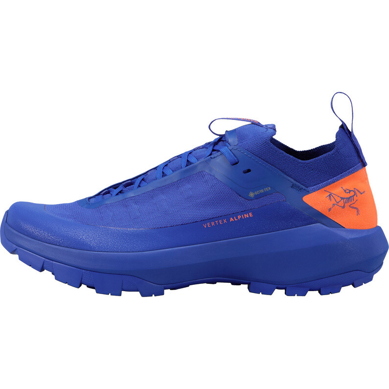 

Мужские туфли Vertex Alpine GTX Arcteryx, синий