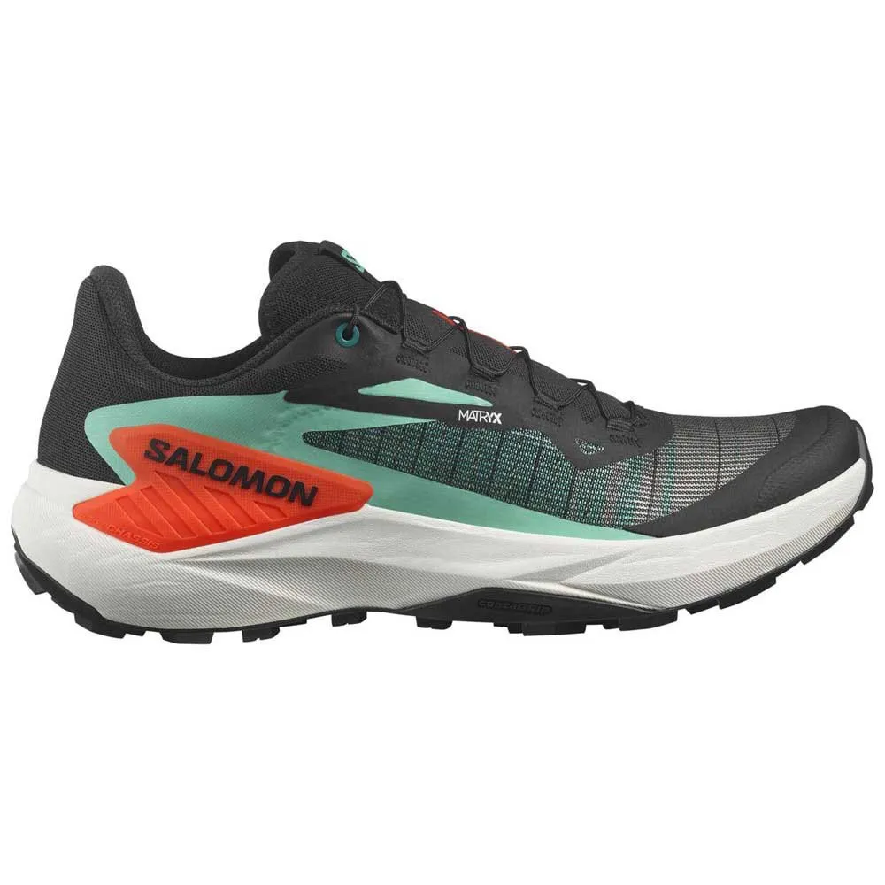 

Походные беговые кроссовки Salomon Genesis, черный