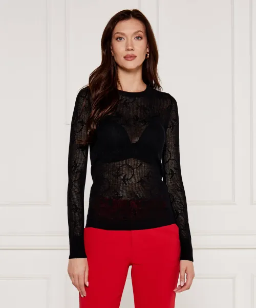 

Шерстяной свитер, защищающий от бутылок Regular fit Pinko, черный