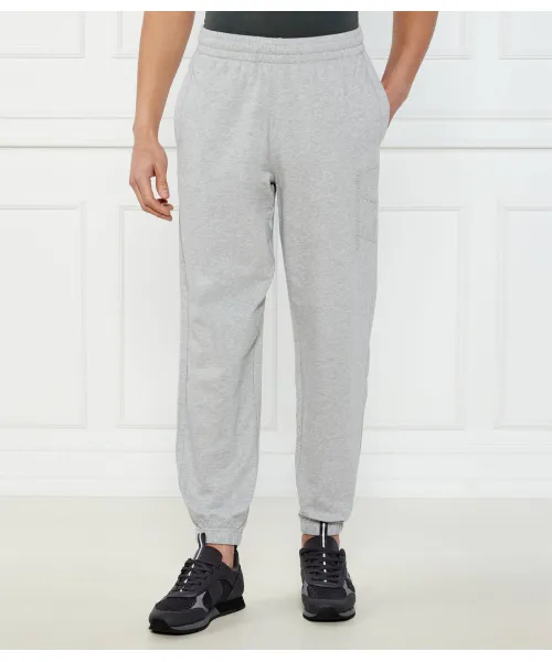 

Спортивные штаны Regular fit Ea7, серый