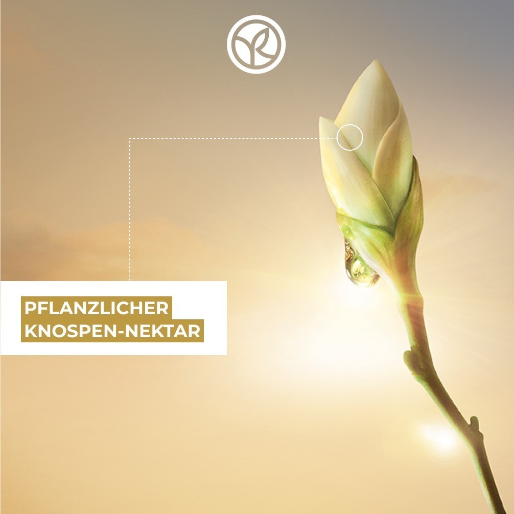 Дневной крем anti-age global korrigierende schönheits-creme Yves Rocher, объем 50 мл — фото 3