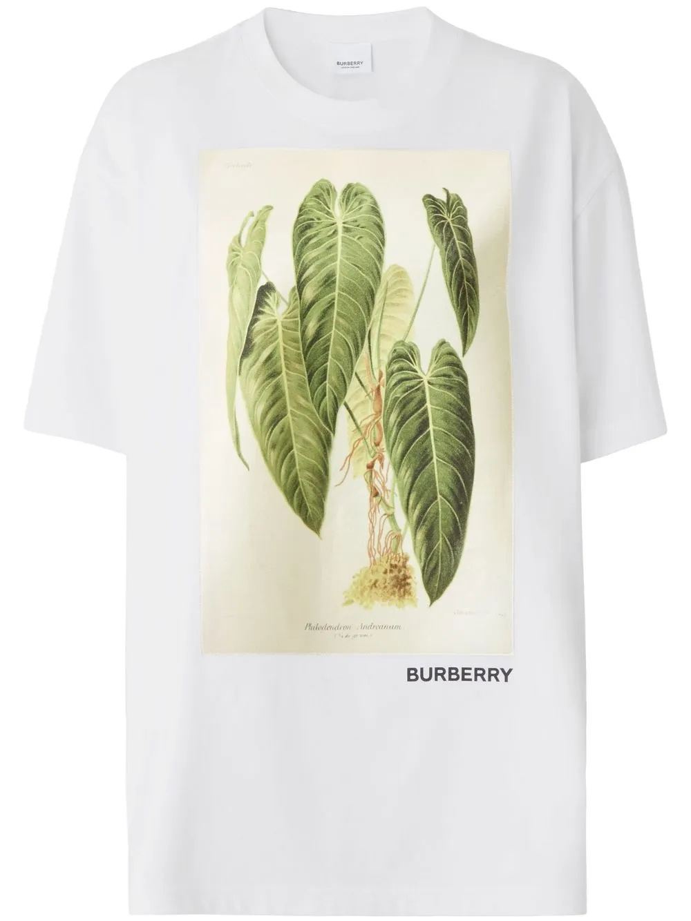 

Футболка с принтом BURBERRY, белый