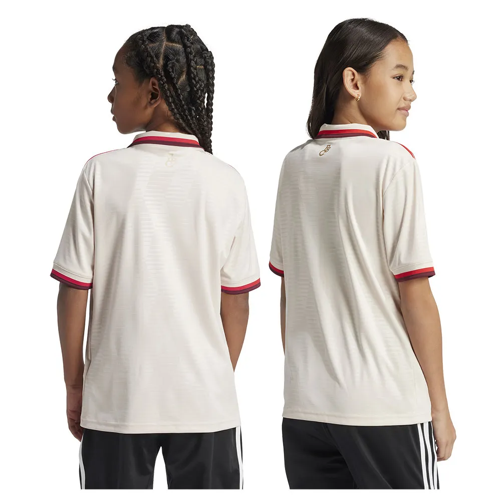 Футболка с коротким рукавом adidas FC Bayern Munich 3 Stripes 24/25 Third junior, бежевый — фото 2