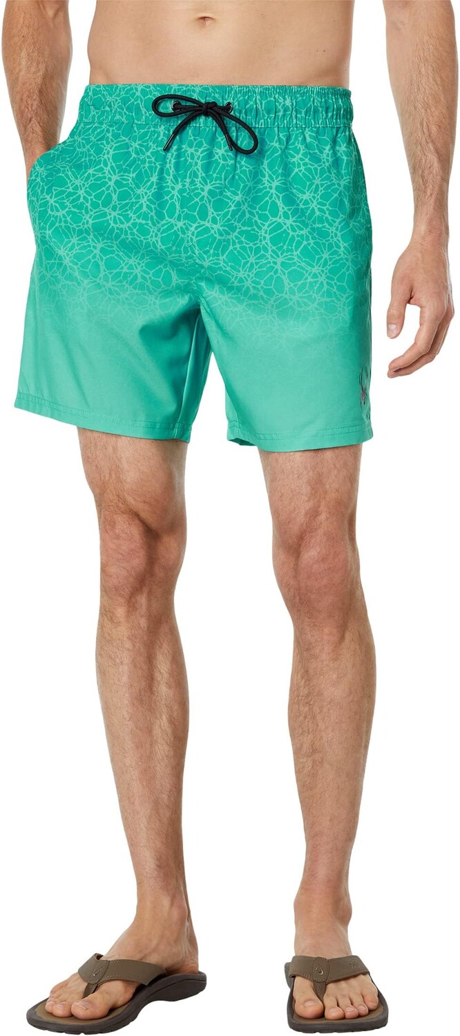 

Плавки Spyder Delta Ombre 17" Volley, цвет Scuba