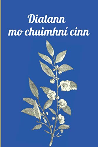 

Dialann mo chuimhní cinn: 100 leathanach do mo chuimhní cinn (Irish Edition) (Independently published)