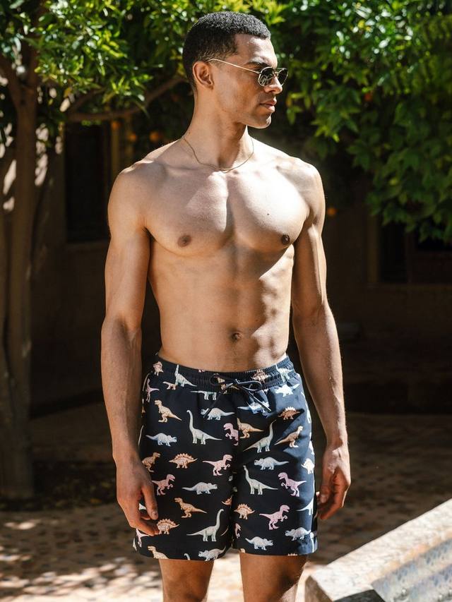 

Плавки с принтом динозавров Chelsea Peers, Navy/Multi