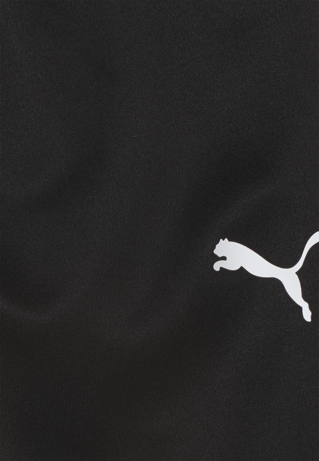 Спортивные брюки Teamrise Poly Training Unisex Puma, цвет black/white — фото 3