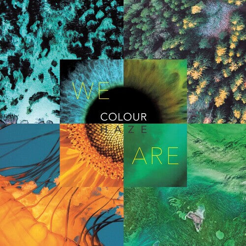 

Виниловая пластинка Colour Haze: We Are