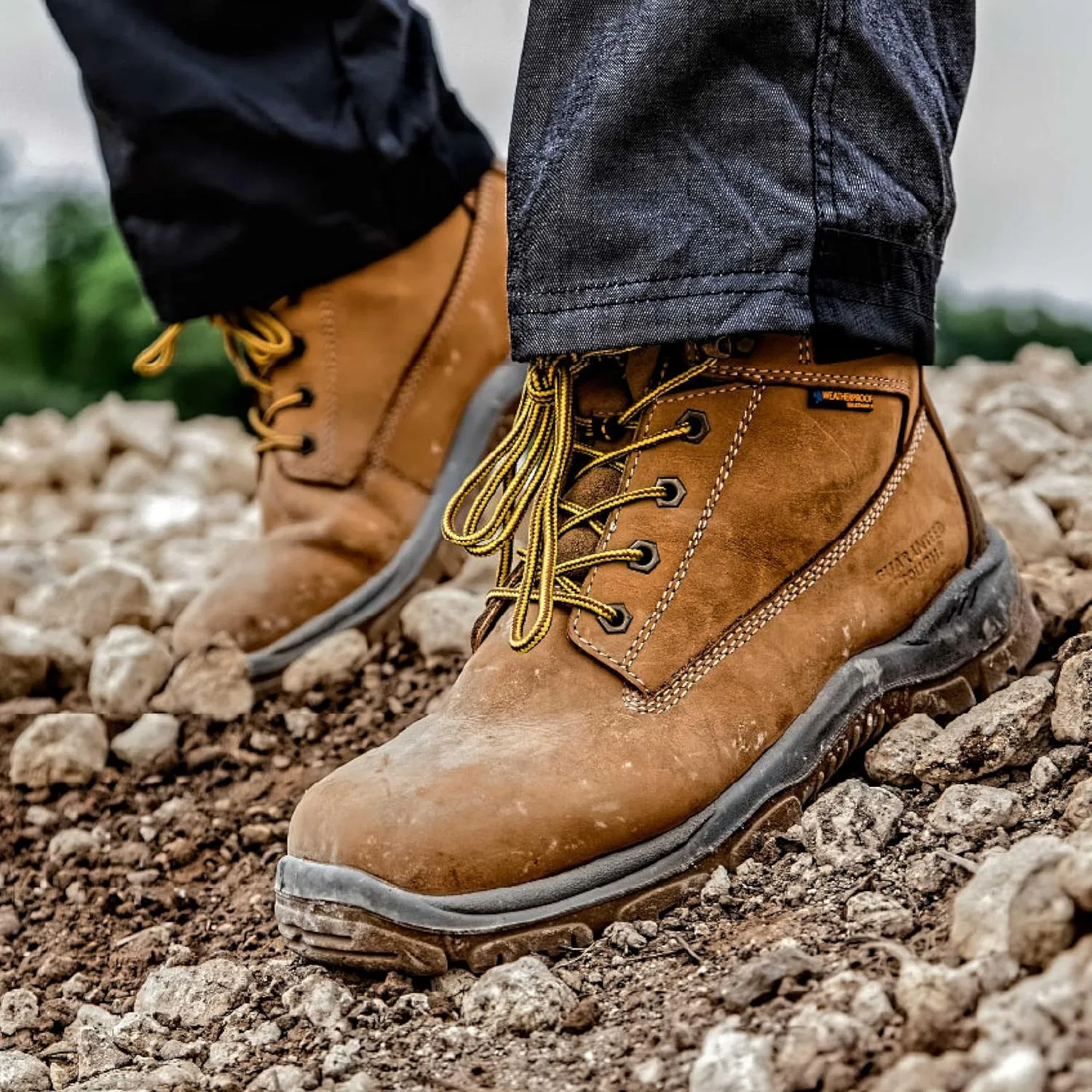 Мужские защитные ботинки DeWalt Titanium, желтый — фото 2