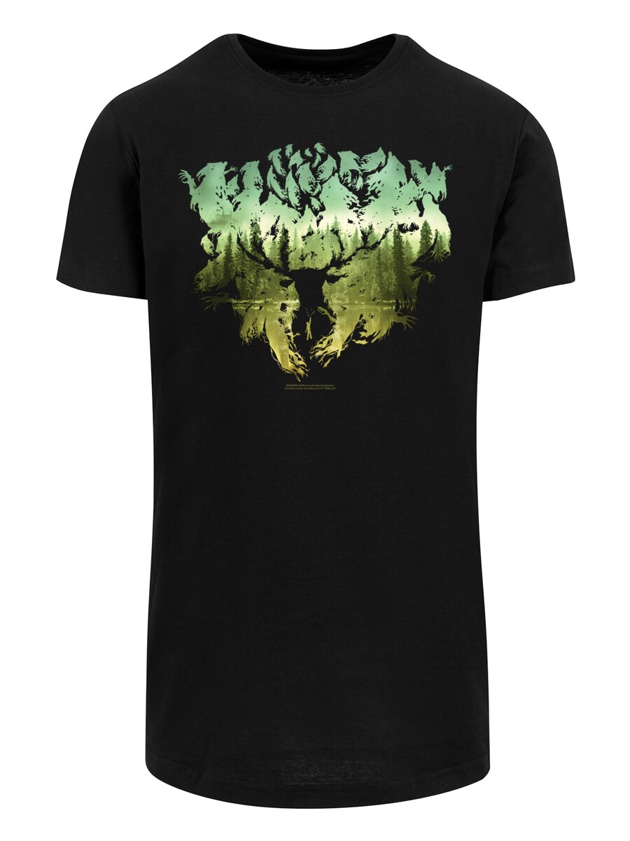 

Классическая футболка F4NT4STIC Shirt Harry Potter Magical Forest, черный