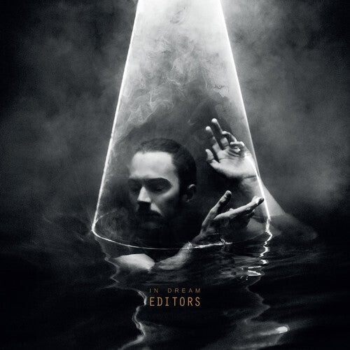 

CD диск Editors: In Dream