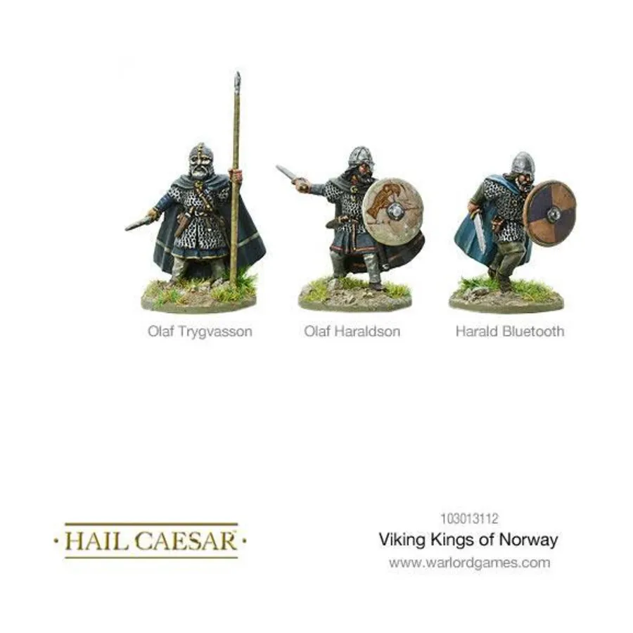 

Короли викингов Норвегии, Hail Caesar - The Dark Ages - Vikings (28mm)