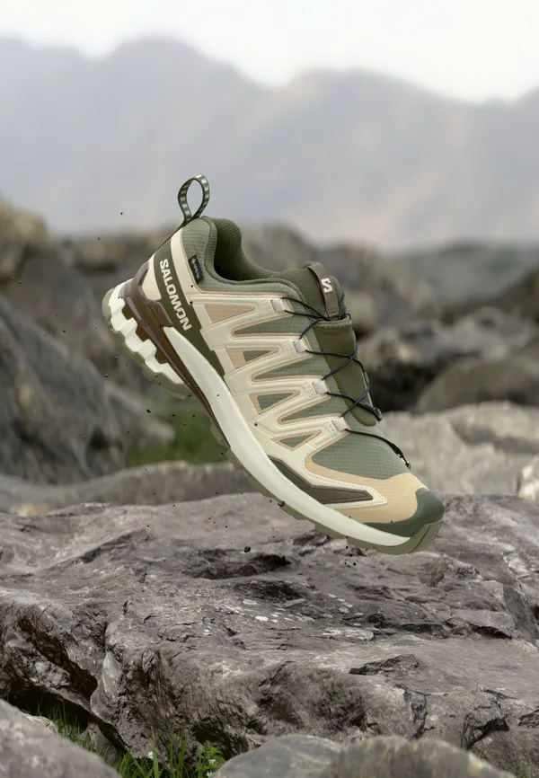 Кроссовки для трейлраннинга xa pro 3d v9 gtx Salomon, Deep Lichen Green/Safari/Dark Earth